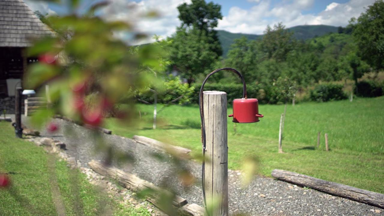 Iz De Maramures Rural Hotel (Adults Only) Dióshalom Kültér fotó